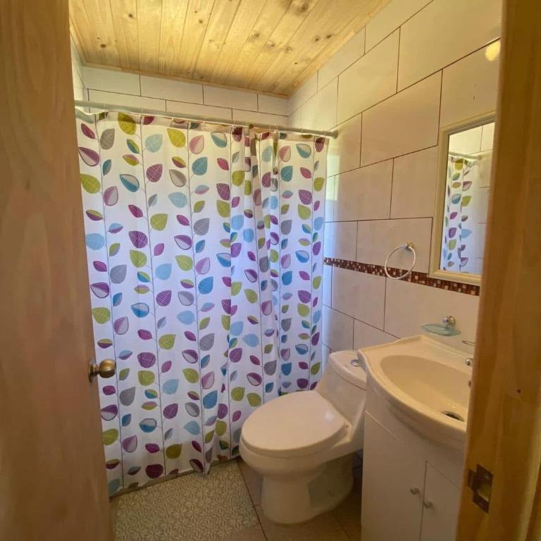 Cabaña en Licán Ray - Two-Bedroom House - 8