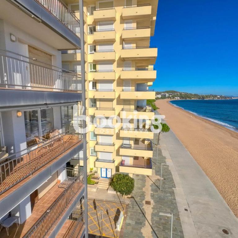 Nuevo Sol - Apartamento - 18