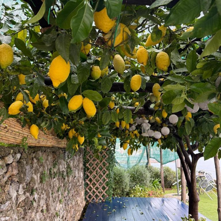 Appartamento di RAPHAEL con vista mare - Appartamento con 1 Camera da Letto - 2