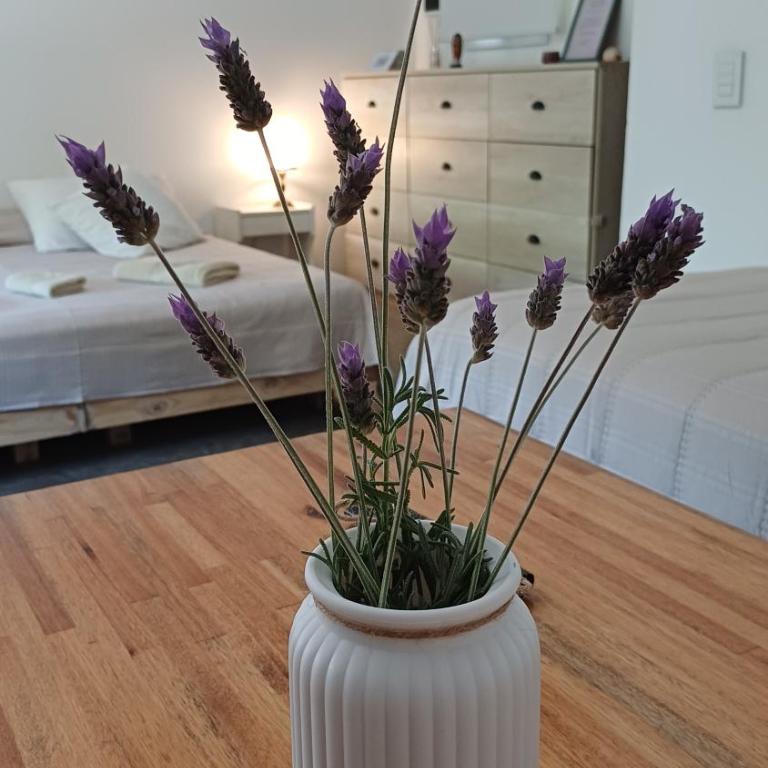 OstendeZen - Apartamento de 1 dormitorio - 10