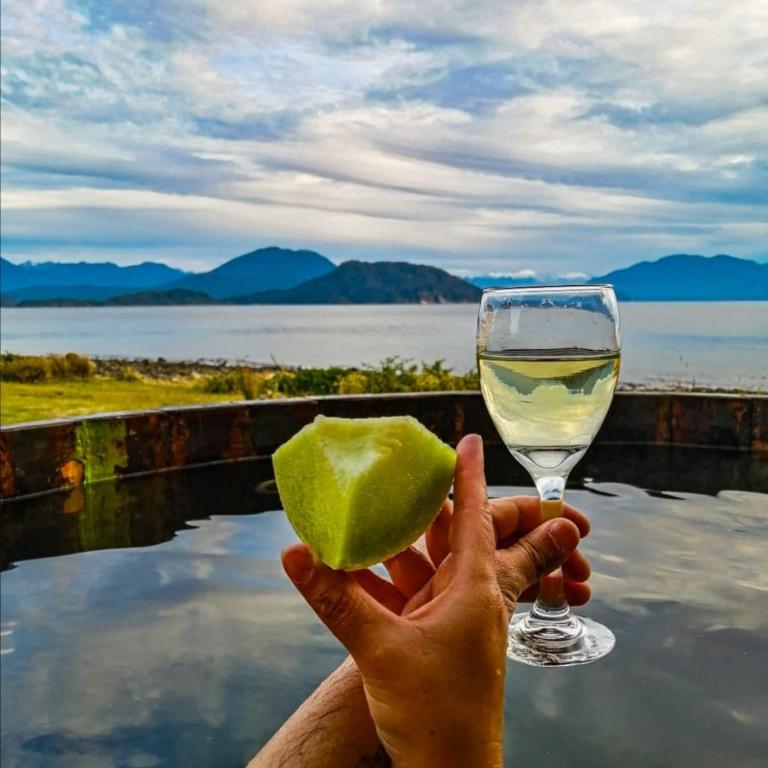 CABAÑA HUALAIHUE AUSTRAL - Vacation Home - 13