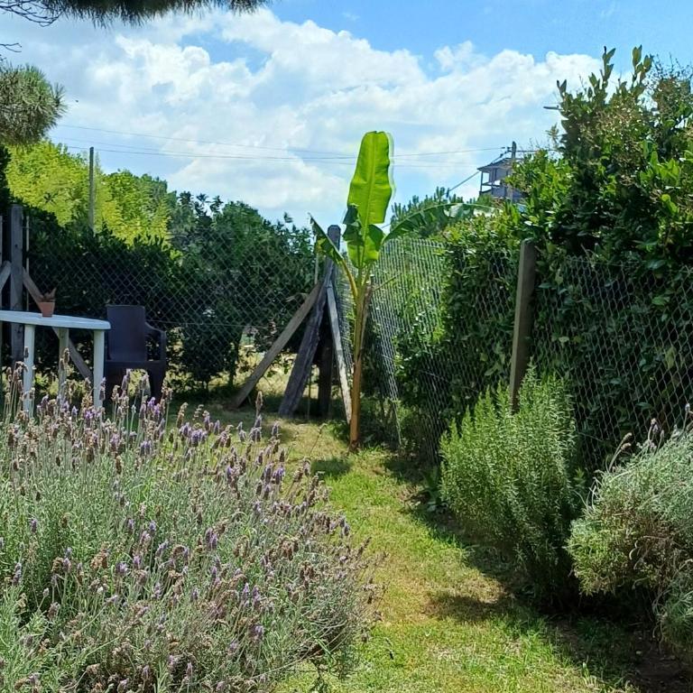OstendeZen - Apartamento de 1 dormitorio - 1