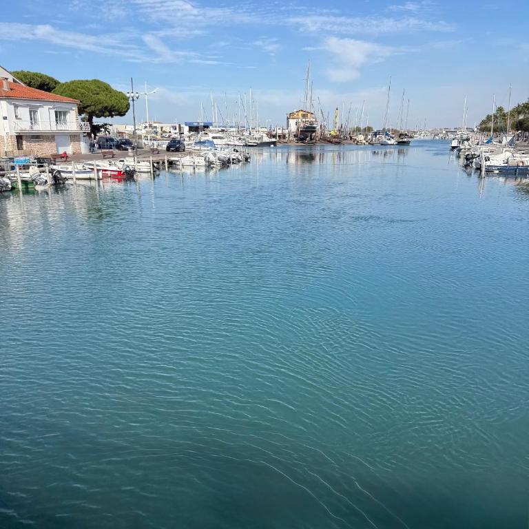 Cap Parenthèse By L'Avenue - T2 Familial - Proche plage, Seaquarium - 2e étage - Parking privé - Appartamento con 1 Camera da Letto - 51