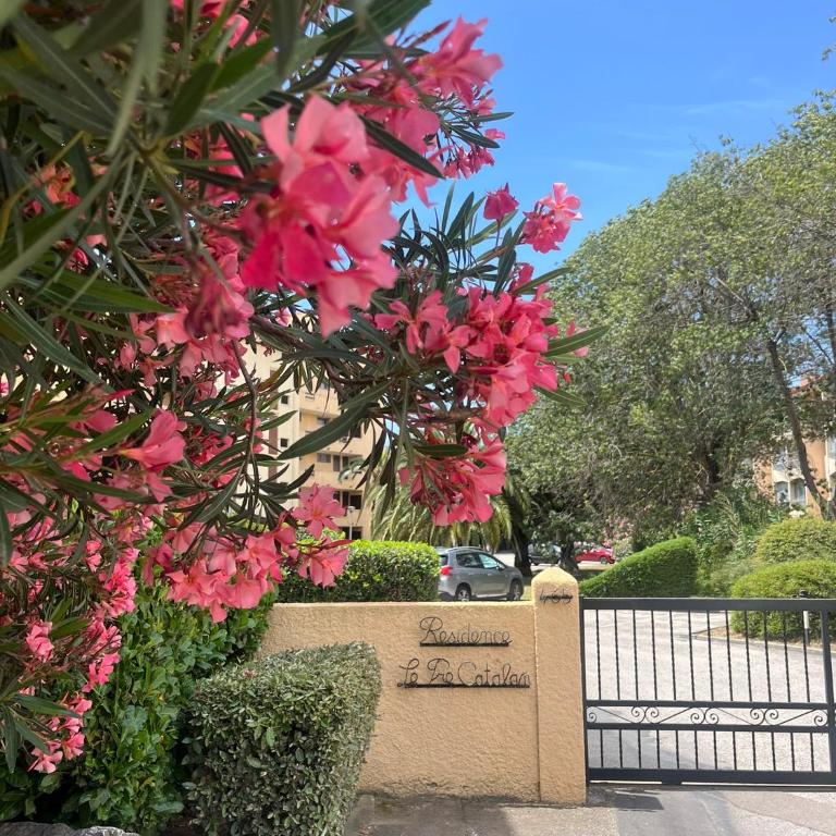 Appartement Argelès-sur-Mer avec piscine à 500m de la mer - Apartment mit 1 Schlafzimmer - 23