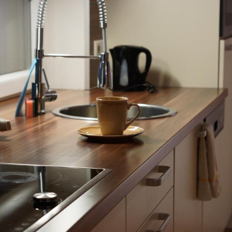 Stadthotel Carinthia - Penthouse-Apartment - 12
