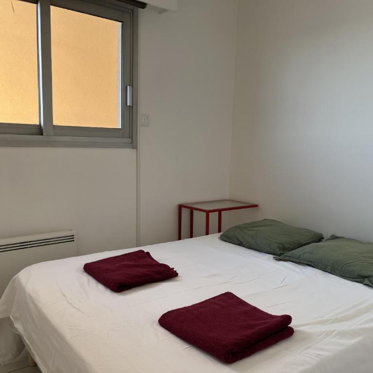 LE CAPITOLE, Vue exceptionnelle sur la mer, T1-2 - Apartamento de 1 dormitorio con balcón y vistas al mar - 9