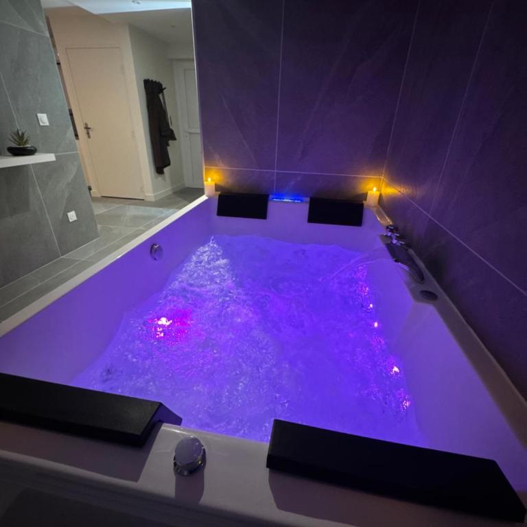 Les Reflets de l'interdit - Appartement 2 Chambres - 4