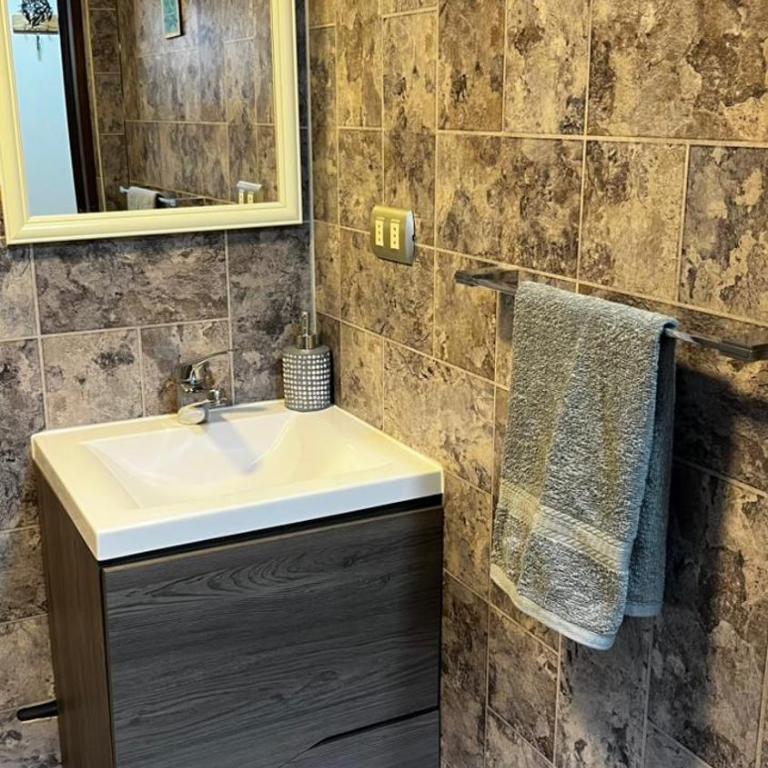 Acogedora cabaña-departamento independiente en entorno familiar - One-Bedroom Apartment - 8