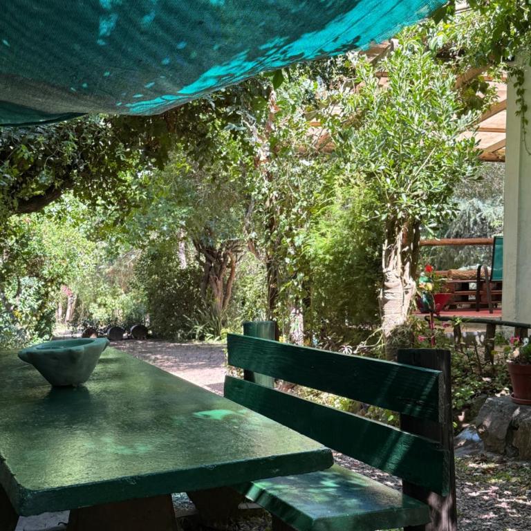 Casa en Punta Ballena - Casa de 3 dormitorios - 3