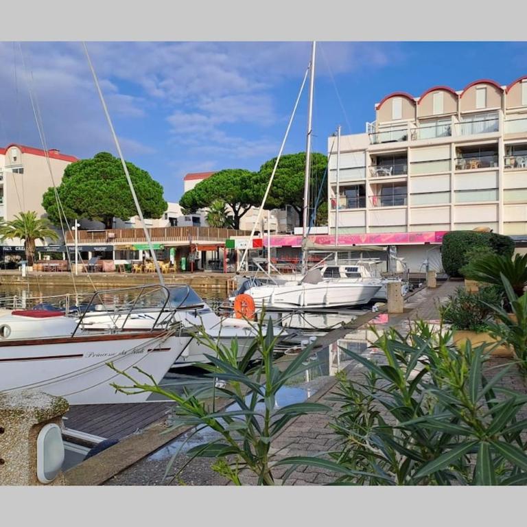 Marina au bord de l'eau accès direct port - Appartement Familial 1 Chambre - 13