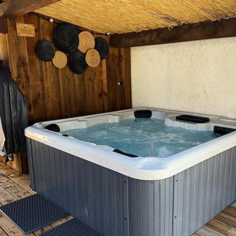 La Familha - jacuzzi - Andernos - Villa - 7