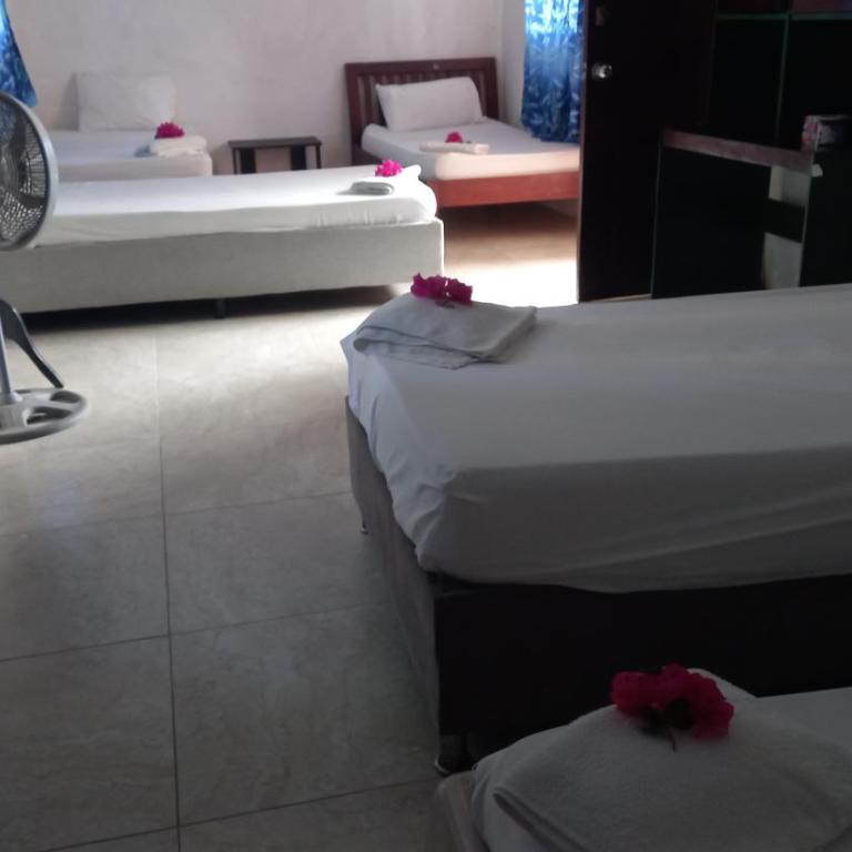 ECOHOTEL LAS FLORES Econativo - Habitación Compartida Mixta de 6 camas - 3