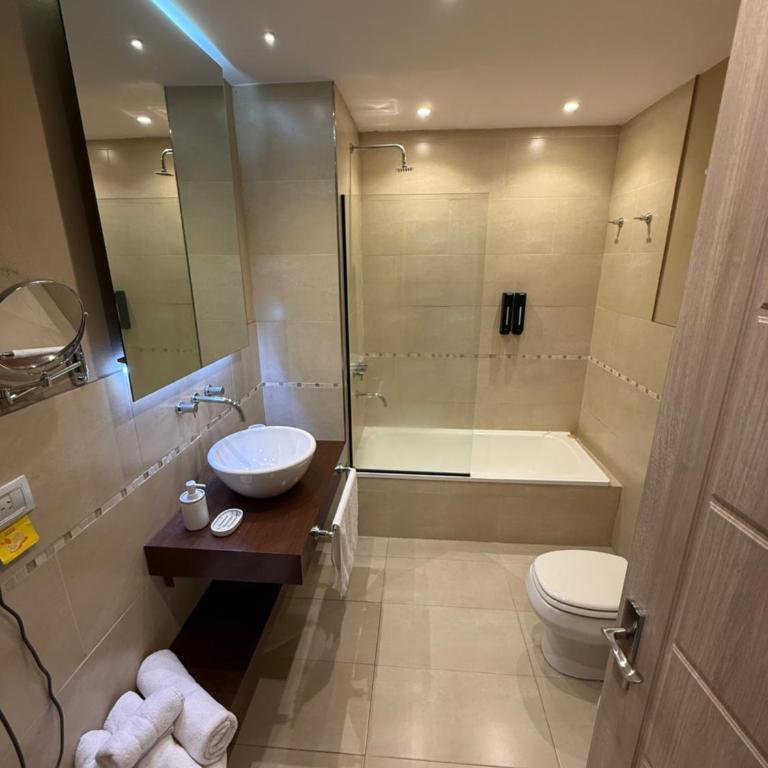 DEPARTAMENTOS BAHIA GRANDE NORDELTA Tigre - Estudio con cama extragrande y sofá cama - 1