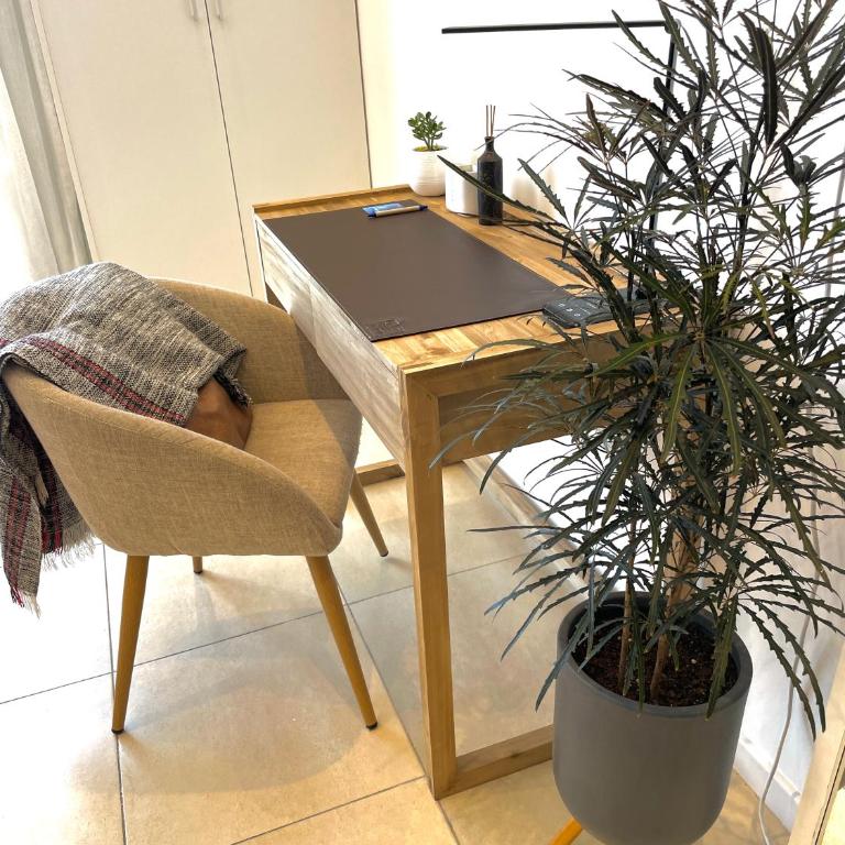 DEPARTAMENTOS BAHIA GRANDE NORDELTA Tigre - Estudio con cama extragrande y sofá cama - 11