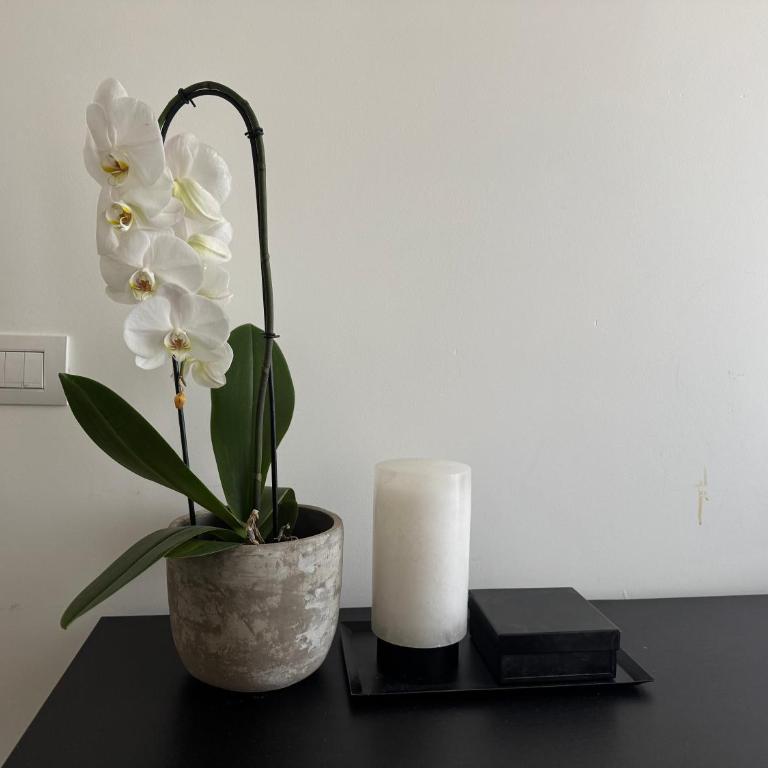 Urban Retreat minutes away from Duomo Cathedral - Monolocale King Deluxe - 10