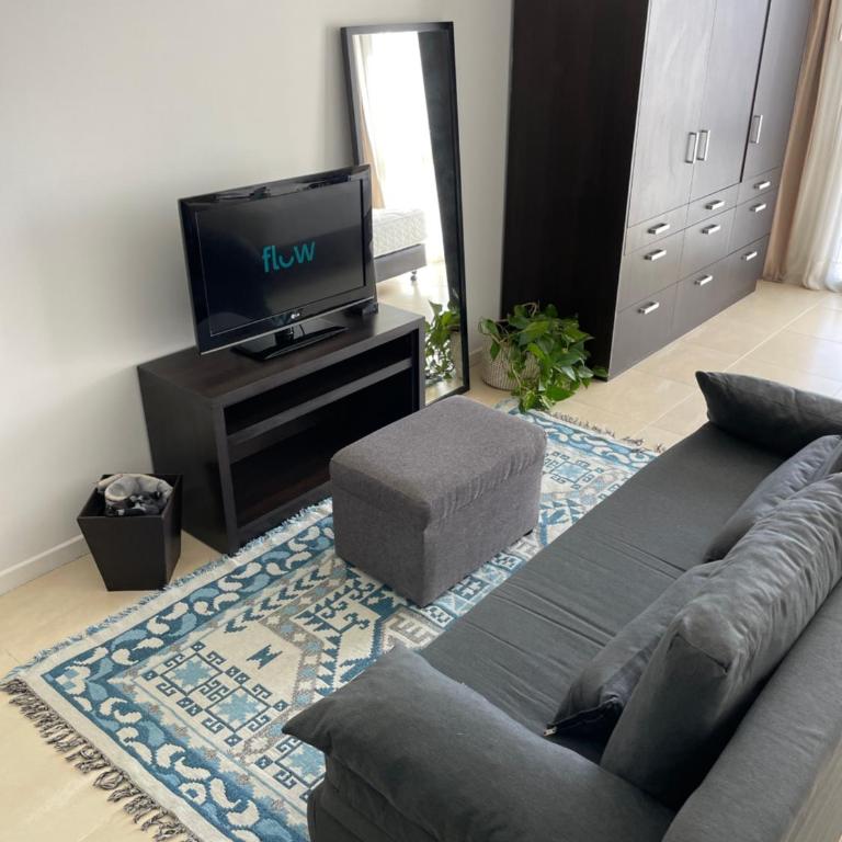 DEPARTAMENTOS BAHIA GRANDE NORDELTA Tigre - Estudio con vistas al jardín - 3