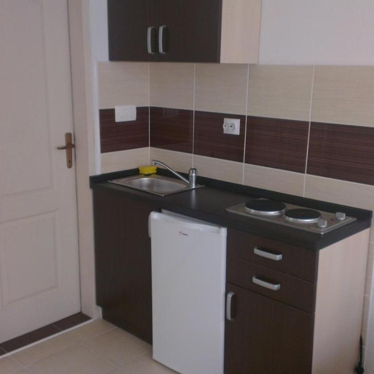 Apartment Djokic - Apartman sa 1 Spavaćom Sobom - 5