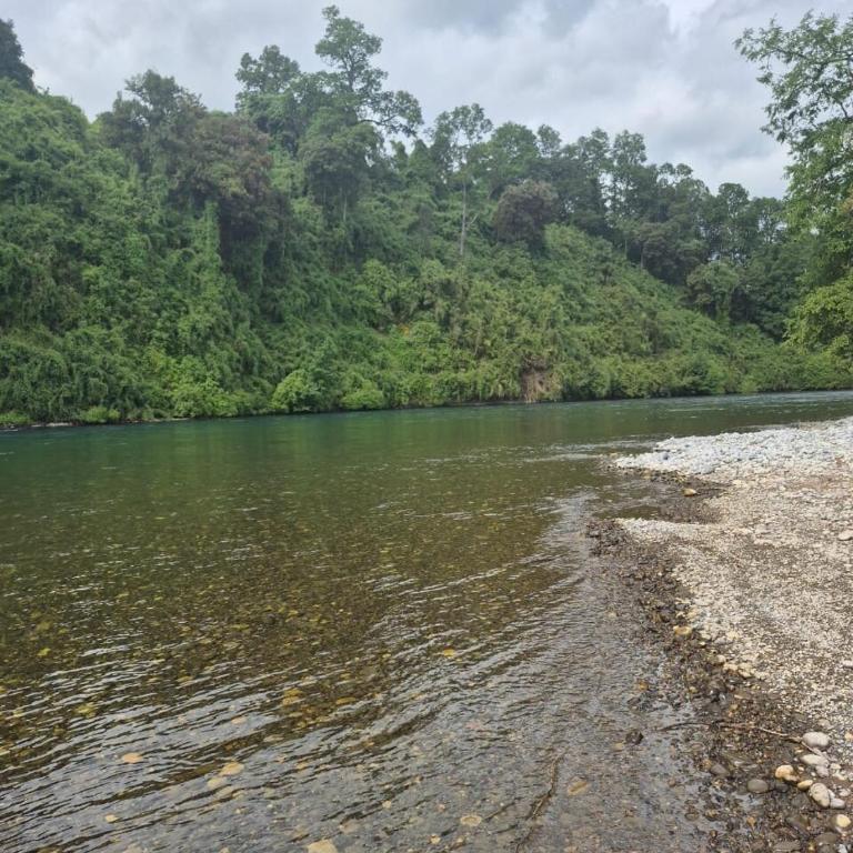 Cabaña Rio Bueno - Two-Bedroom Chalet - 9