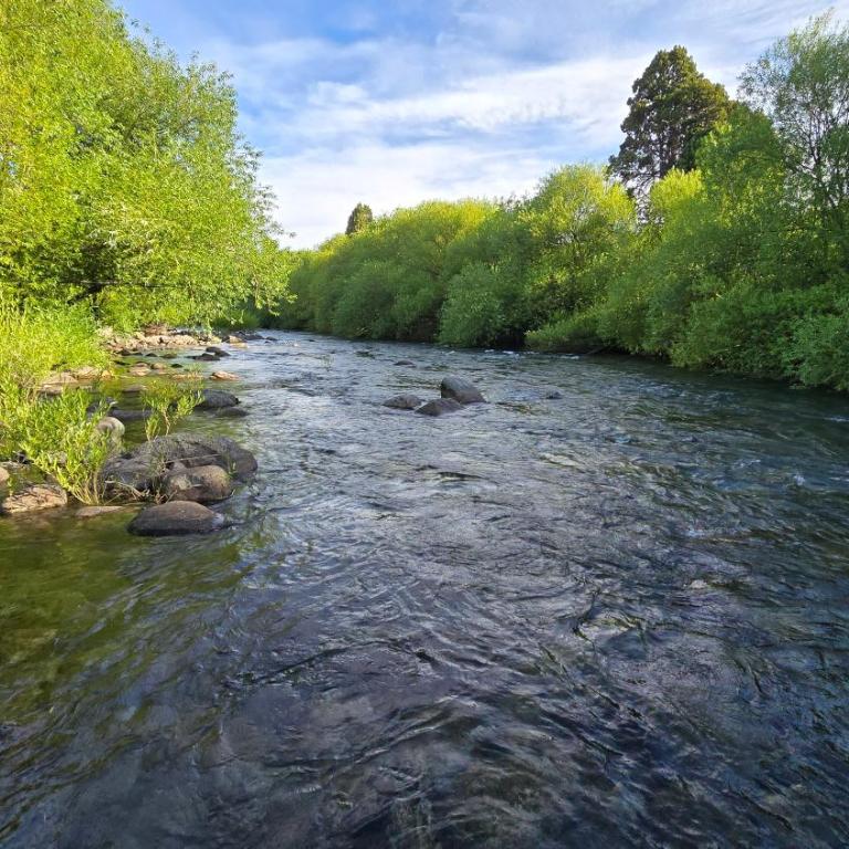 El Cuchitril - Two-Bedroom Chalet - 36