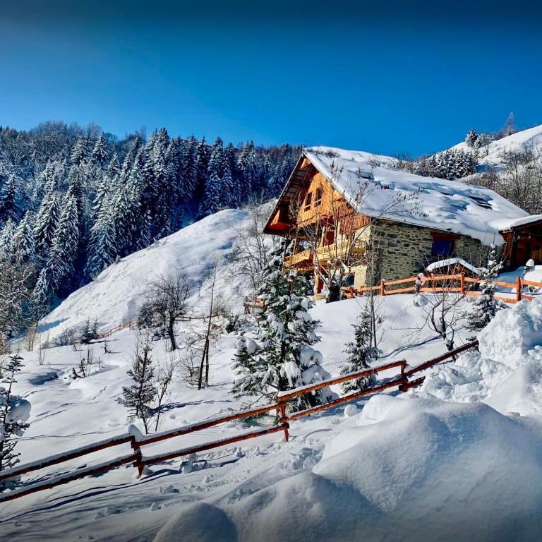 Chalet Bendo - OVO Network - Chalet - 28