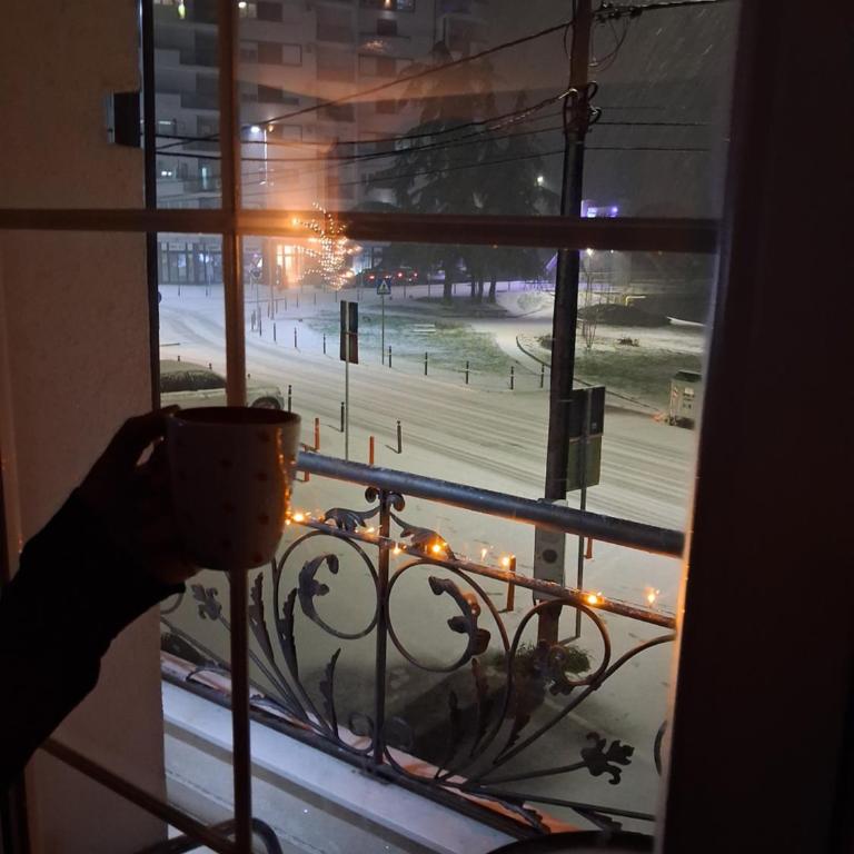 Dina lux apartman 2 - Apartman sa 1 Spavaćom Sobom - 17