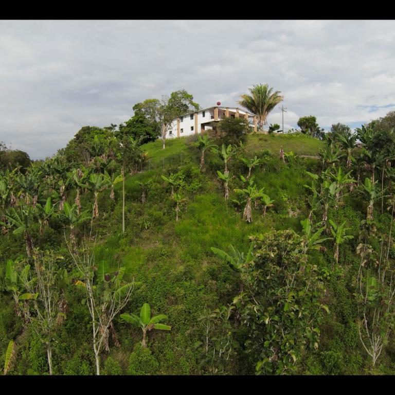 Nido Tangara - Finca Boutique Piscina y Vista - Pereira, Colombia - Seven-Bedroom House - 36