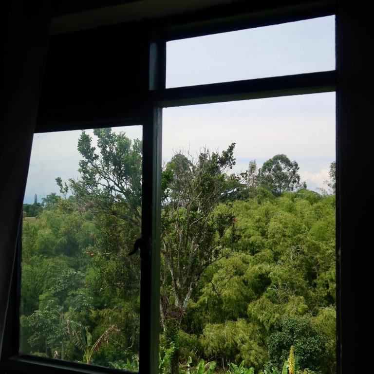 Nido Tangara - Finca Boutique Piscina y Vista - Pereira, Colombia - Seven-Bedroom House - 69