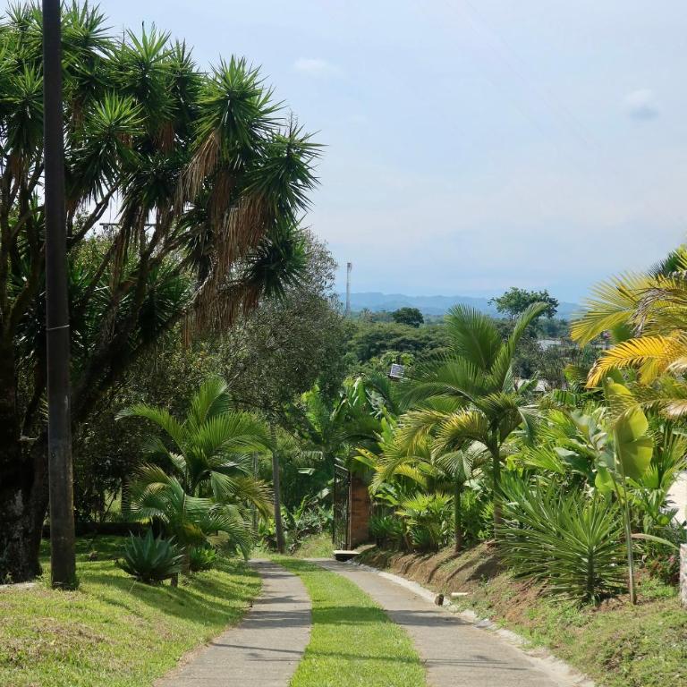 Nido Tangara - Finca Boutique Piscina y Vista - Pereira, Colombia - Seven-Bedroom House - 62