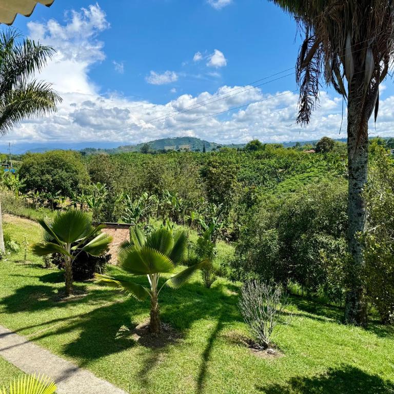 Nido Tangara - Finca Boutique Piscina y Vista - Pereira, Colombia - Seven-Bedroom House - 83