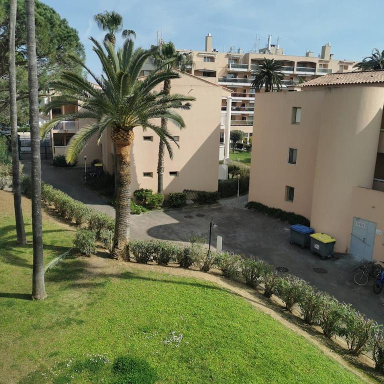 Le Bleu Azur - Appartement 1 Chambre - 15