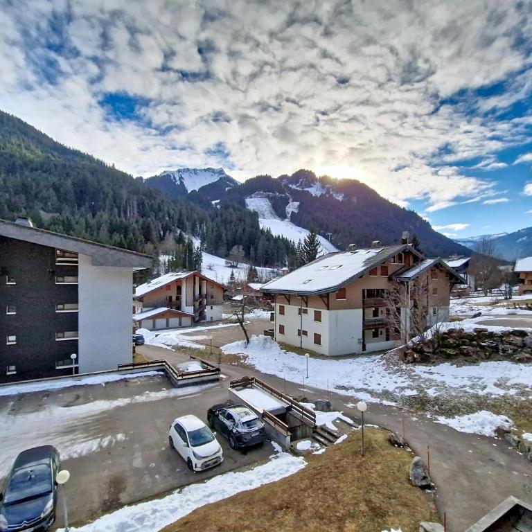 Portes Du Soleil PSA47 TELECABINE & MOUNTAIN 4 Per - Monolocale - 15