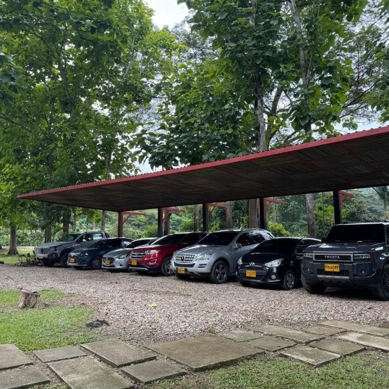 El refugio del Alba - Four-Bedroom House - 23