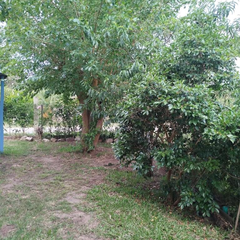La Pasiflora - Three-Bedroom House - 40