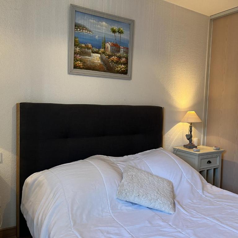 Port Frejus Le Nautica T2-3 capacite 4-5 p - Apartment mit 2 Schlafzimmern und Terrasse - 3