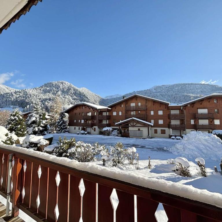 Charmant appartement studio avec alcôve - Parking - Praz-sur-Arly - Appartement 1 Chambre - 23
