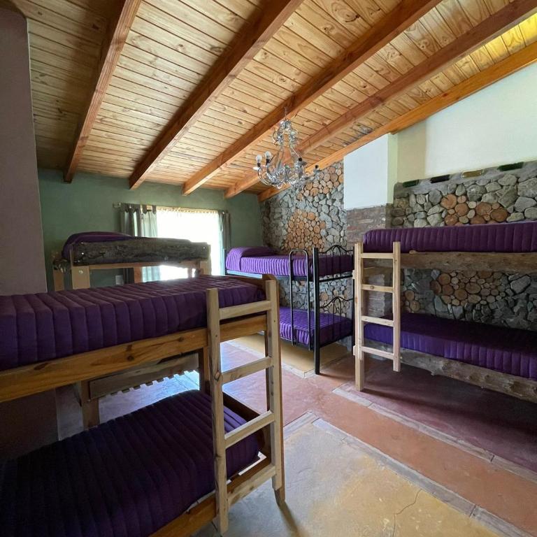 Hostel Cerro Plataforma - Single Bed in Male Dormitory Room - 6