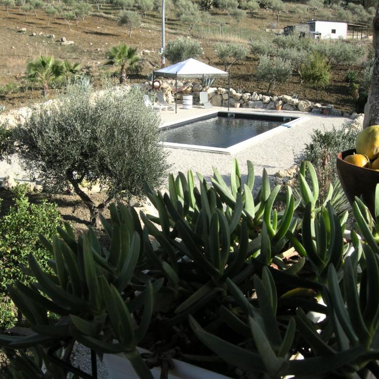 Villa NERO BIANCO, Havre de paix, oliviers, maison et piscine privées - Villa con 2 Camere da Letto - 17