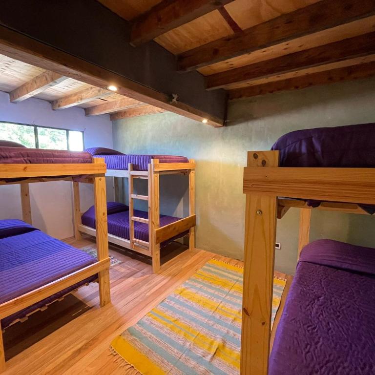 Hostel Cerro Plataforma - Single Bed in Male Dormitory Room - 3