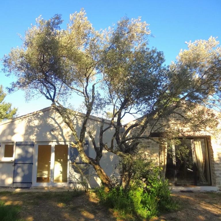 Le mazet d'Uzès - Villa - 18