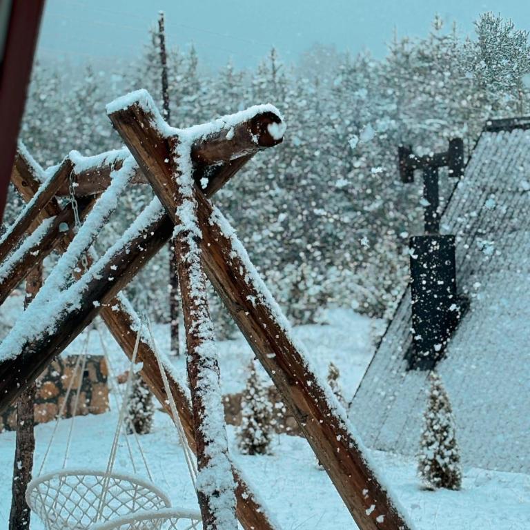 Vila Vrela - Vila sa 2 Spavaće Sobe - 1