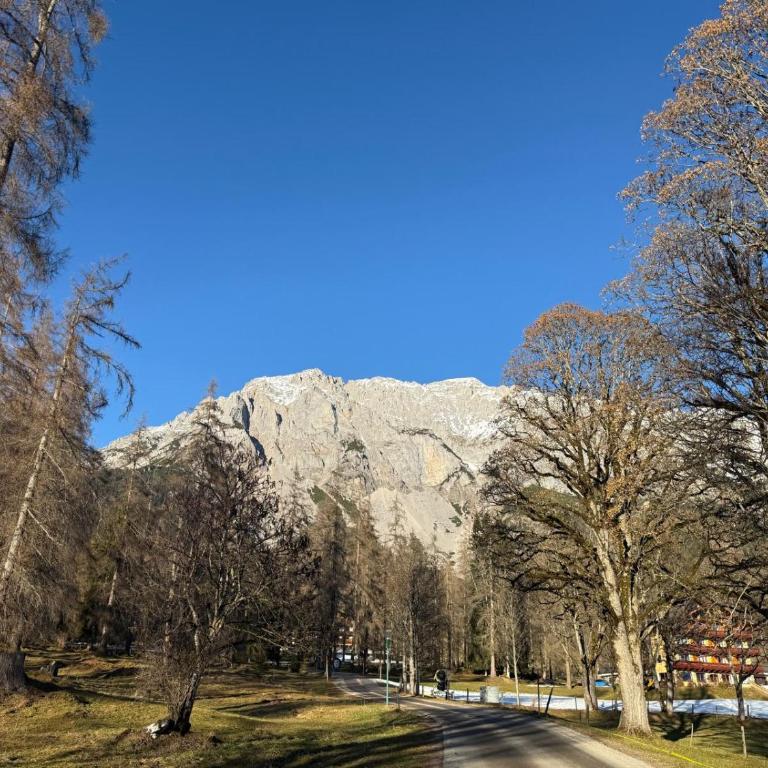 Alpenblick - klein, aber fein - Apartment mit 1 Schlafzimmer - 7