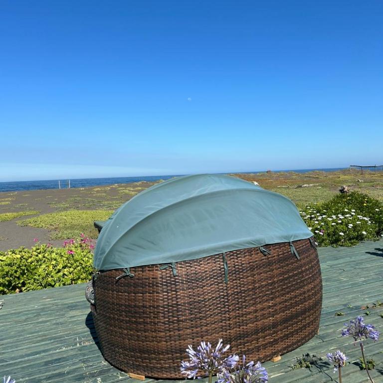 Cabañas Pilicura - One-Bedroom House - 2