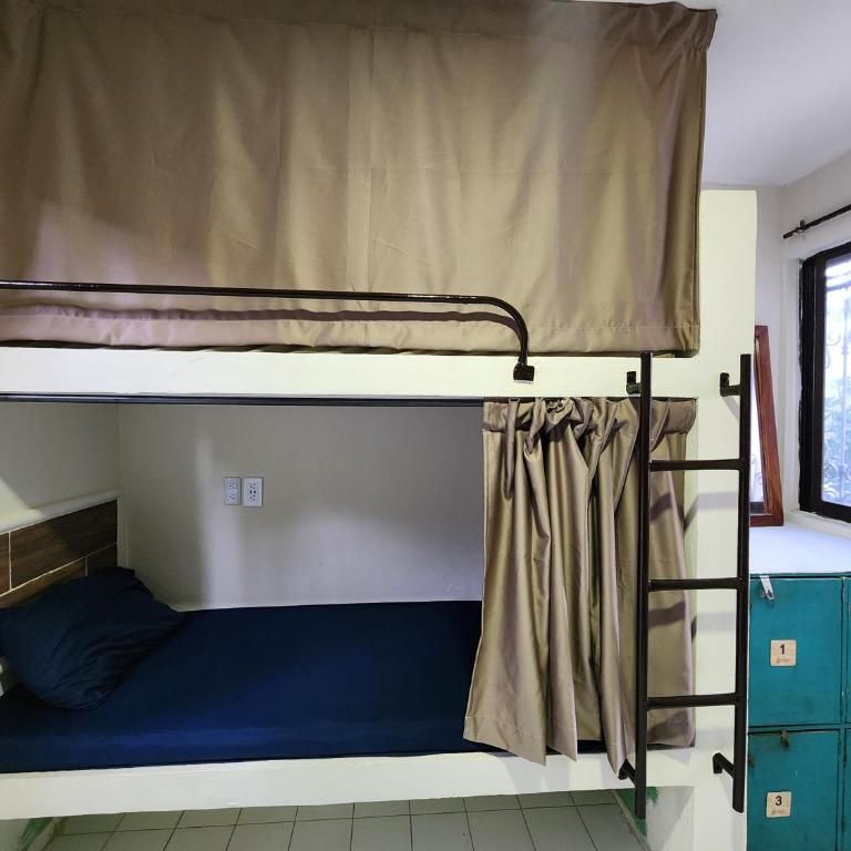 Casa Seloria - Bed in 4-Bed Dormitory Room - 4