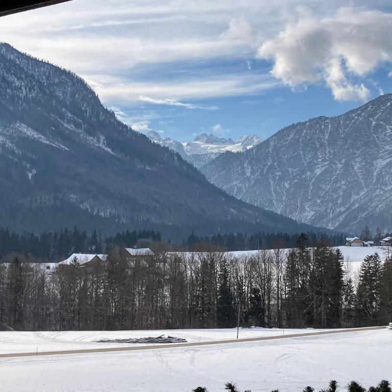 Dachstein Stüberl - Appartement avec Vue et Balcon - 36