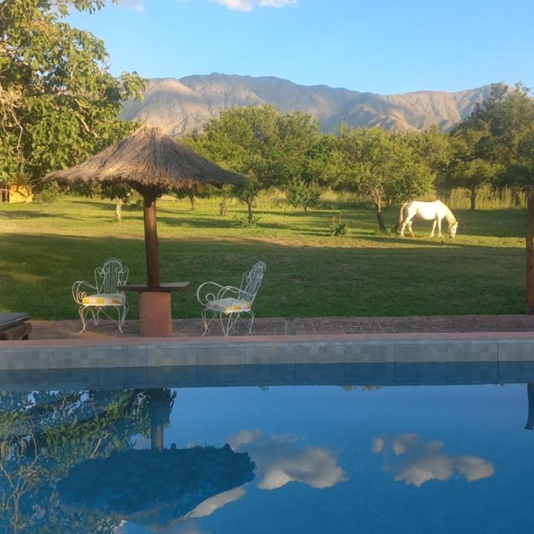 Cabañas Bendita Tierra - Two-Bedroom House - 14
