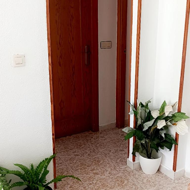 Manewela - Two-Bedroom Apartment - 17