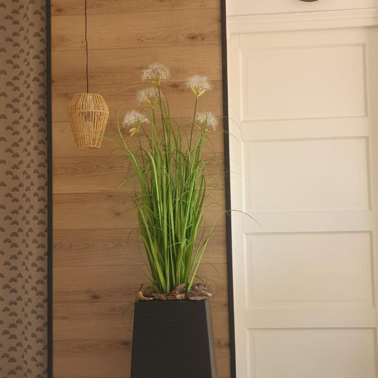 Corsappart - Studio Apartment - 7