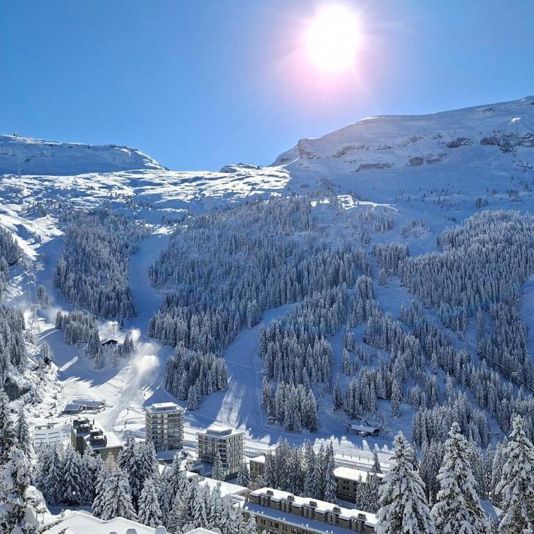 Studio lumineux avec balcon et casier à ski proche des pistes - FR-1-425-185 - Studio - 3