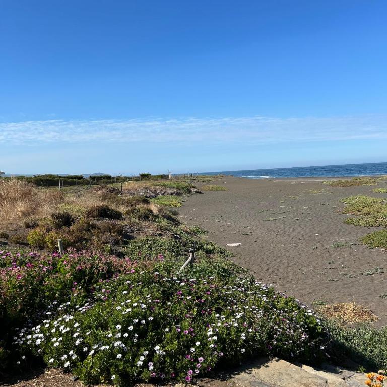 Cabañas Pilicura - One-Bedroom House - 30