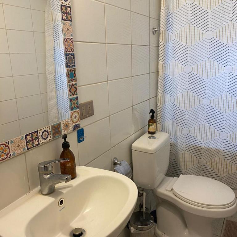 Cabaña Raulí - One-Bedroom Apartment - 4